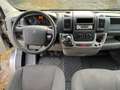 Citroen Jumper Grossraumkasten 35 L2H2 HDi MOTORSCHADEN Gris - thumbnail 11