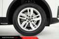Audi Q5 40 TDI 204 CV quattro S tronic Business Bianco - thumbnail 12