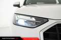 Audi Q5 40 TDI 204 CV quattro S tronic Business Bianco - thumbnail 13