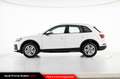 Audi Q5 40 TDI 204 CV quattro S tronic Business Bianco - thumbnail 3