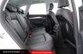 Audi Q5 40 TDI 204 CV quattro S tronic Business Bianco - thumbnail 9
