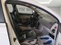 Volvo V50 1.6d drive Polar PER OPERATORI DEL SETTORE Bianco - thumbnail 13