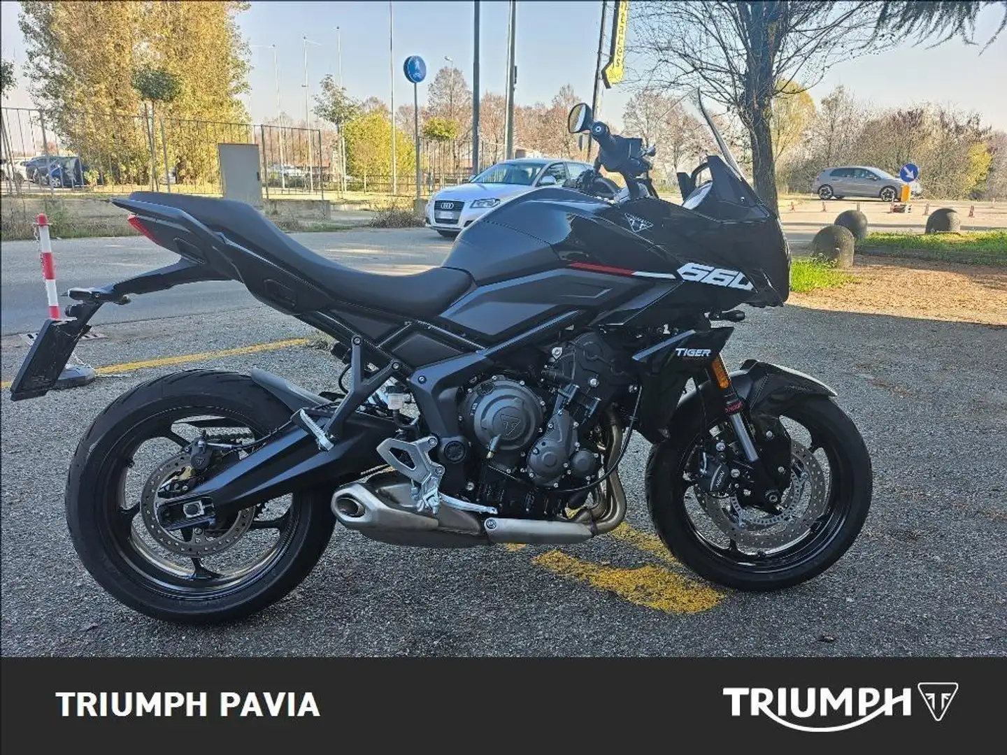 Triumph Tiger Sport Abs Grigio - 1