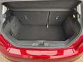 Ford Fiesta 1.0 EcoBoost Titanium 100pk | Pano | Adaptive Crui Rouge - thumbnail 16