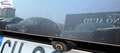 Ford Puma 1.0 ecoboost h ST-Line s&s 125cv auto Grau - thumbnail 21