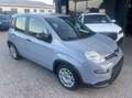 Fiat Panda 1.0 firefly hybrid s&s 70cv Grau - thumbnail 7