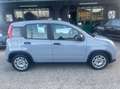 Fiat Panda 1.0 firefly hybrid s&s 70cv Grau - thumbnail 6