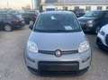 Fiat Panda 1.0 firefly hybrid s&s 70cv Grau - thumbnail 8