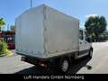 Ford Transit Pritsche 310 L2 Doppelkabine Klima 7Sitz Weiß - thumbnail 4