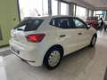 SEAT Ibiza 1.6TDI CR S&S Reference Plus 80 Blanco - thumbnail 5