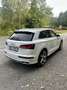 Audi SQ5 3,0 TFSI quattro S-tronic Weiß - thumbnail 6
