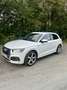 Audi SQ5 3,0 TFSI quattro S-tronic Weiß - thumbnail 1