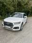 Audi SQ5 3,0 TFSI quattro S-tronic Weiß - thumbnail 3