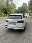 Audi SQ5 3,0 TFSI quattro S-tronic Weiß - thumbnail 7