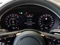 Bentley Continental GT Speed First Edition GRÜN / GRÜN /FU Verde - thumbnail 13