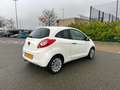 Ford Ka/Ka+ Ka 1.2 Start-Stopp-System Titanium Wit - thumbnail 2