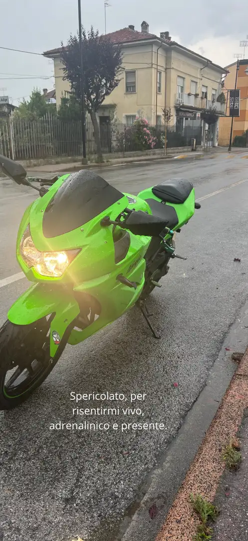 Kawasaki Ninja 250 R - 2