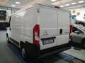 Citroen Jamper Bianco - thumbnail 4