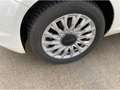 Fiat 500 Fiat 500C MY21 1.0 Dolcevita Hybrid Faltdach Apple Weiß - thumbnail 5
