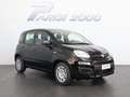 Fiat Panda 1.0 FireFly S&S Hybrid *PROMO PARISI GROUP* Nero - thumbnail 2