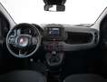 Fiat Panda 1.0 FireFly S&S Hybrid *PROMO PARISI GROUP* Nero - thumbnail 13