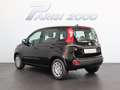 Fiat Panda 1.0 FireFly S&S Hybrid *PROMO PARISI GROUP* Nero - thumbnail 4