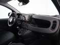 Fiat Panda 1.0 FireFly S&S Hybrid *PROMO PARISI GROUP* Nero - thumbnail 12