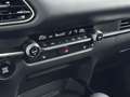 Mazda CX-30 2.5 e-SkyActiv-G M Hybrid Homura Autom,Camera A,Ac Noir - thumbnail 20