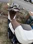 Piaggio Medley 125 ABS Blanco - thumbnail 6