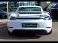 Porsche Cayman 718 GT4 PDK CLUBSPORT°CARRARA WHITE°CARBON°BUCKET° Wit - thumbnail 4