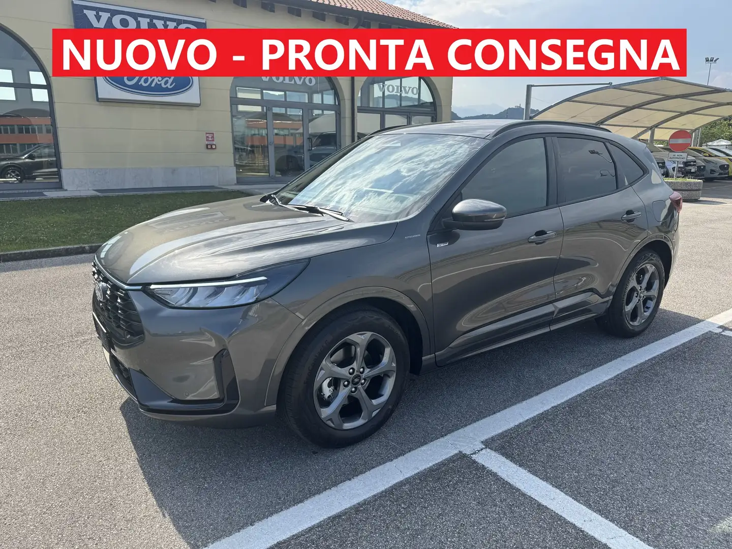 Ford Kuga St-Line 2.5 Full-Hybrid 180CV 2WD S&S - NUOVA Gris - 1