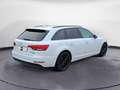 Audi A4 Avant 2.0 tdi Business Sport quattro 190cv s-troni Bianco - thumbnail 4