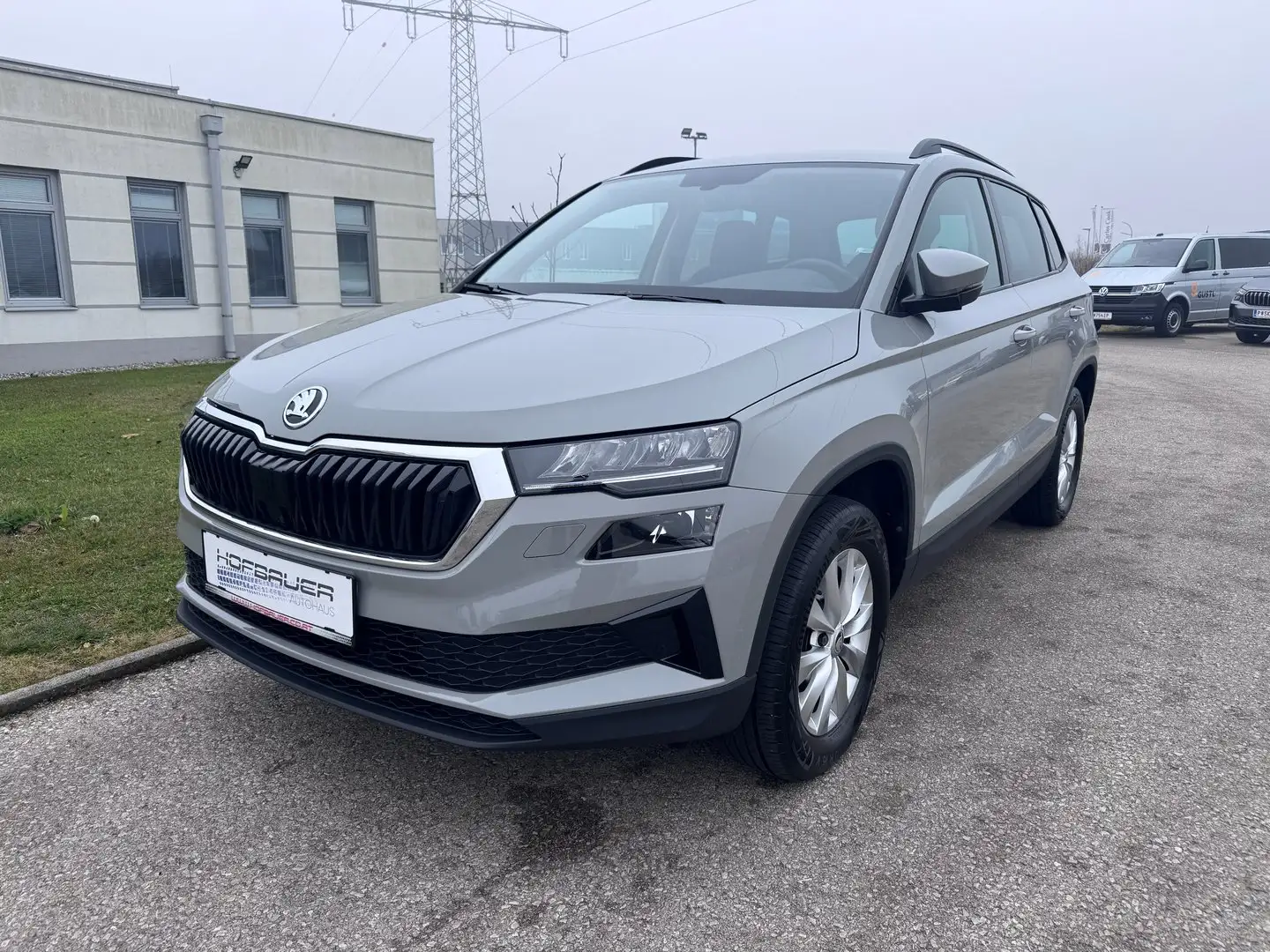 Skoda Karoq Ambition TSI Grau - 1