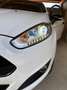 Ford Fiesta Fiesta Easy 1,5 TDCi Easy Weiß - thumbnail 2