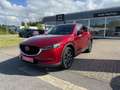 Mazda CX-5 SKYACTIV-G 160 AWD 6GS AL-SPORTS TEC-P AHK Rot - thumbnail 7