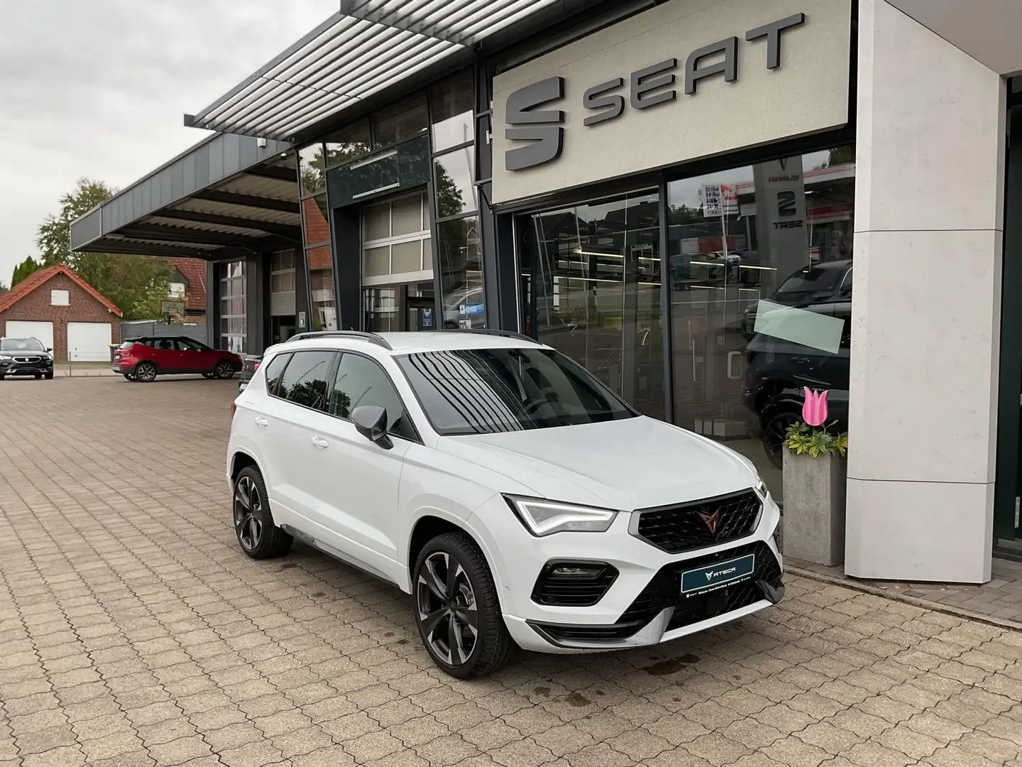 CUPRA Ateca 1.5 TSi DSG - Beats - Sitzheizung Weiß - 1