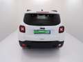Jeep Renegade 2019 - Renegade 1.6 mjt Business 2wd 130cv Bianco - thumbnail 7