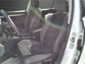 Volkswagen Golf VIII Variant 2.0 TDI DSG 4Motion Alltrack *Pano Weiß - thumbnail 9