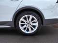 Volkswagen Golf VIII Variant 2.0 TDI DSG 4Motion Alltrack *Pano Weiß - thumbnail 16