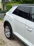 Volkswagen T-Roc 2.0 TDI SCR 4MOTION Advanced BlueMotion Technology Bianco - thumbnail 6