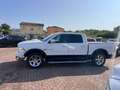 Dodge RAM CREW CAB - 1500 - 4X4 LARAMIE GPL Bianco - thumbnail 7