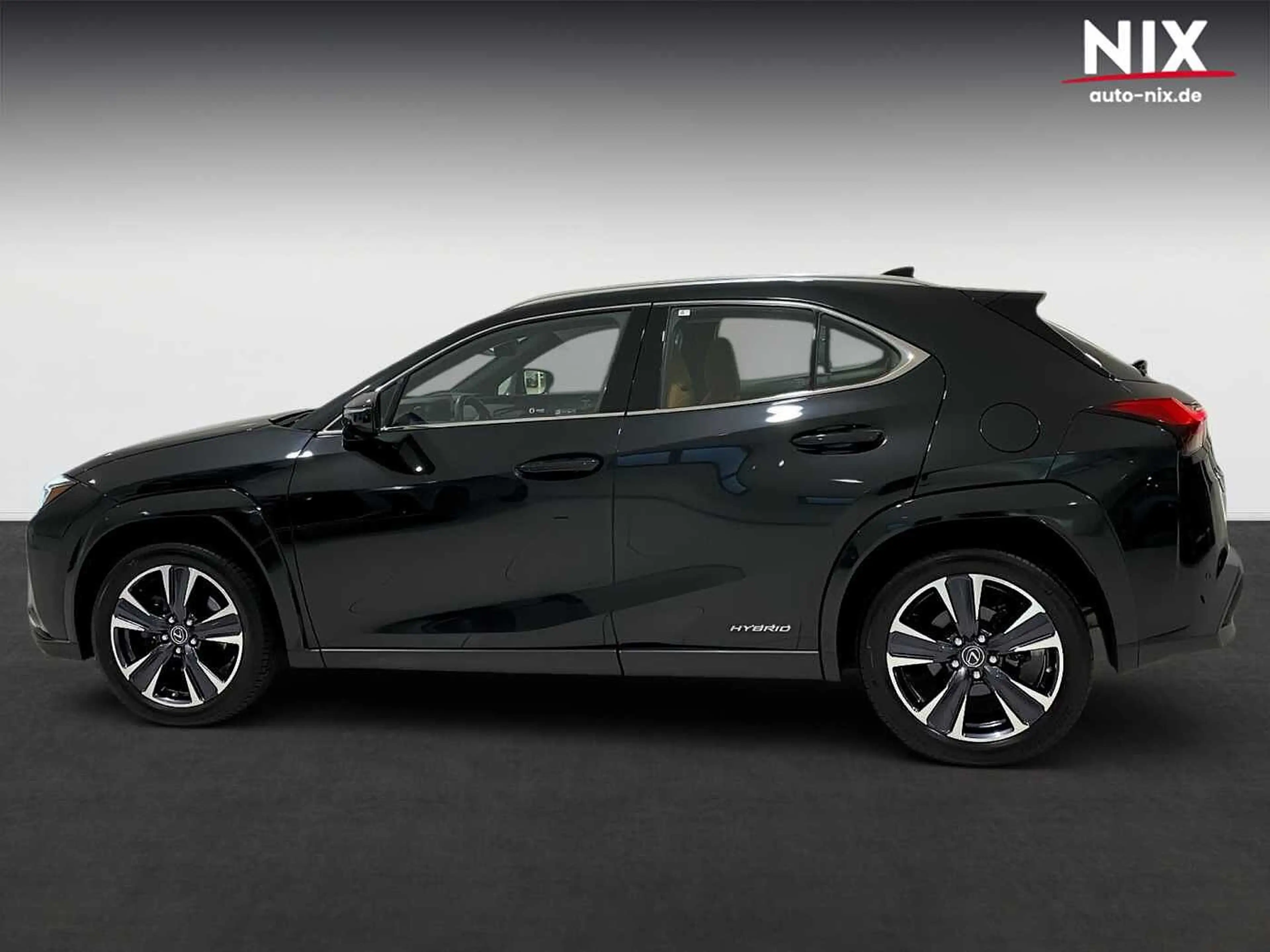 Lexus UX 250h Luxury Line 360° KAMERA SHZ — photo 6