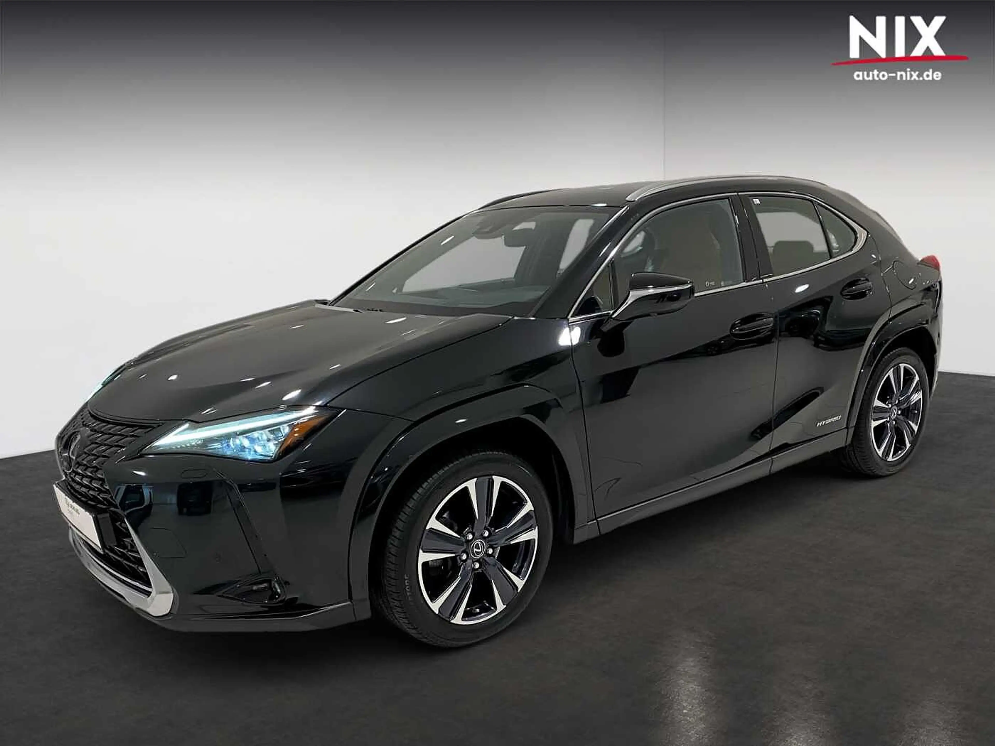 Lexus UX 250h Luxury Line 360° KAMERA SHZ