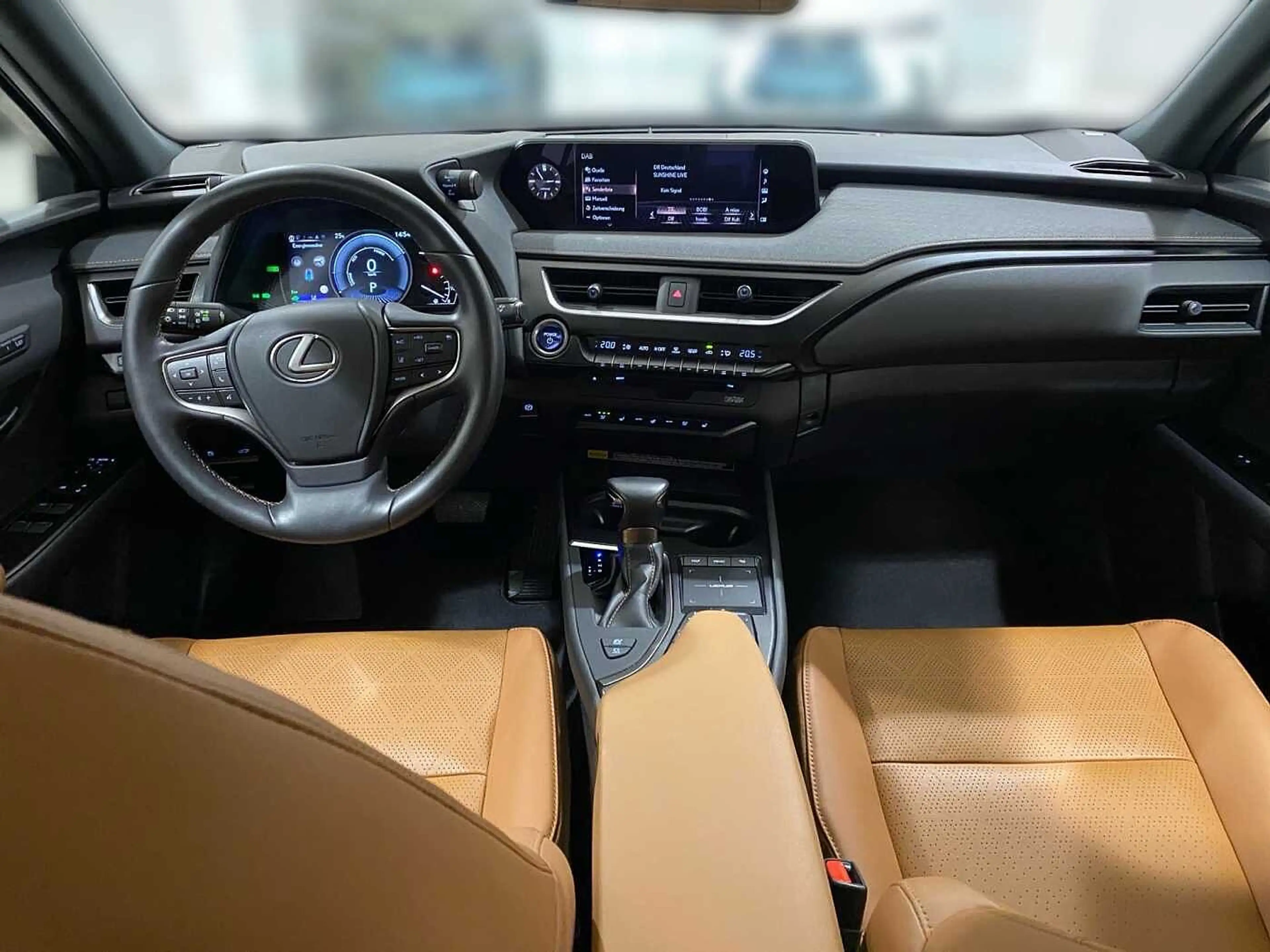 Lexus UX 250h Luxury Line 360° KAMERA SHZ — photo 14