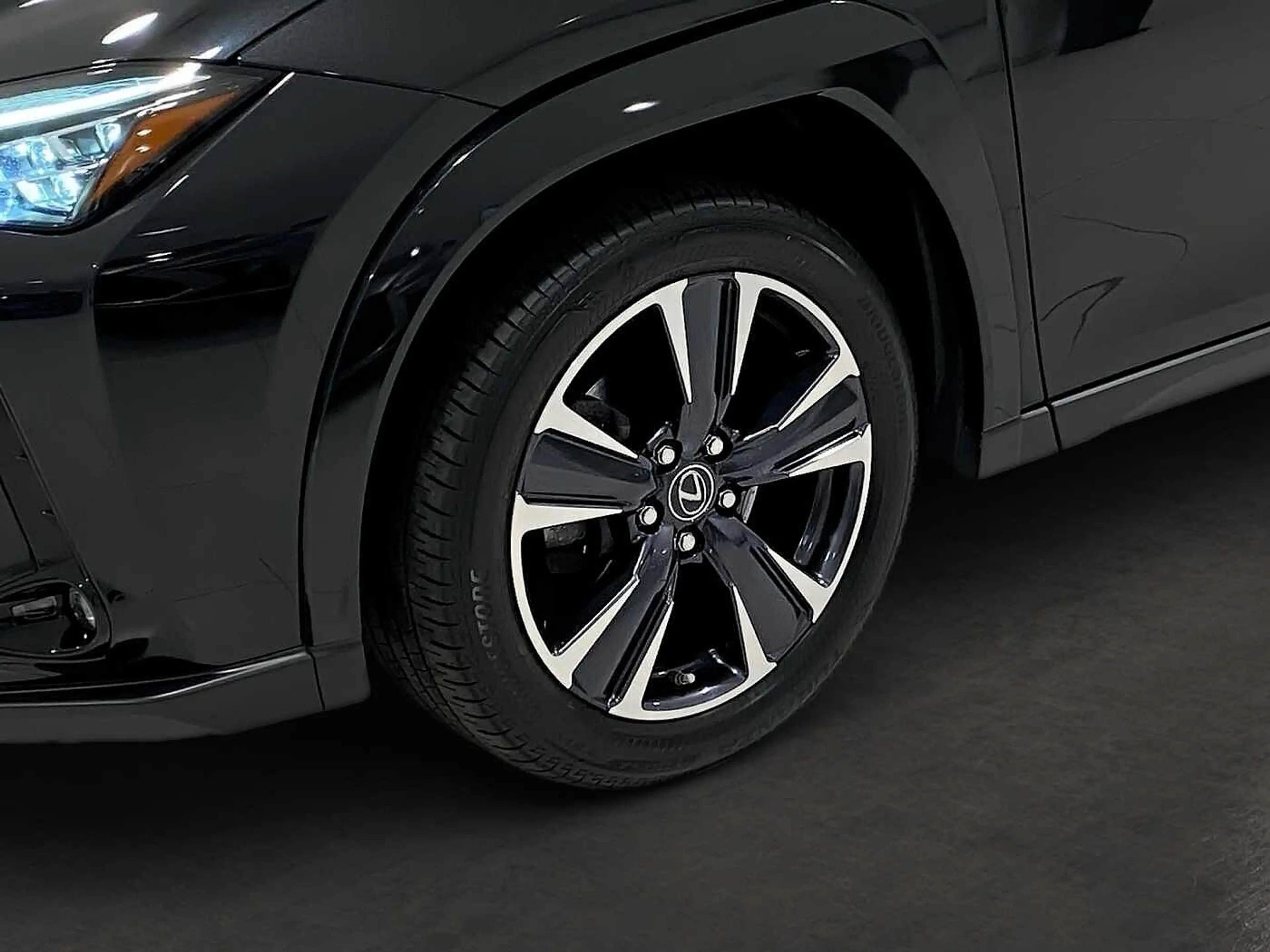Lexus UX 250h Luxury Line 360° KAMERA SHZ — photo 8