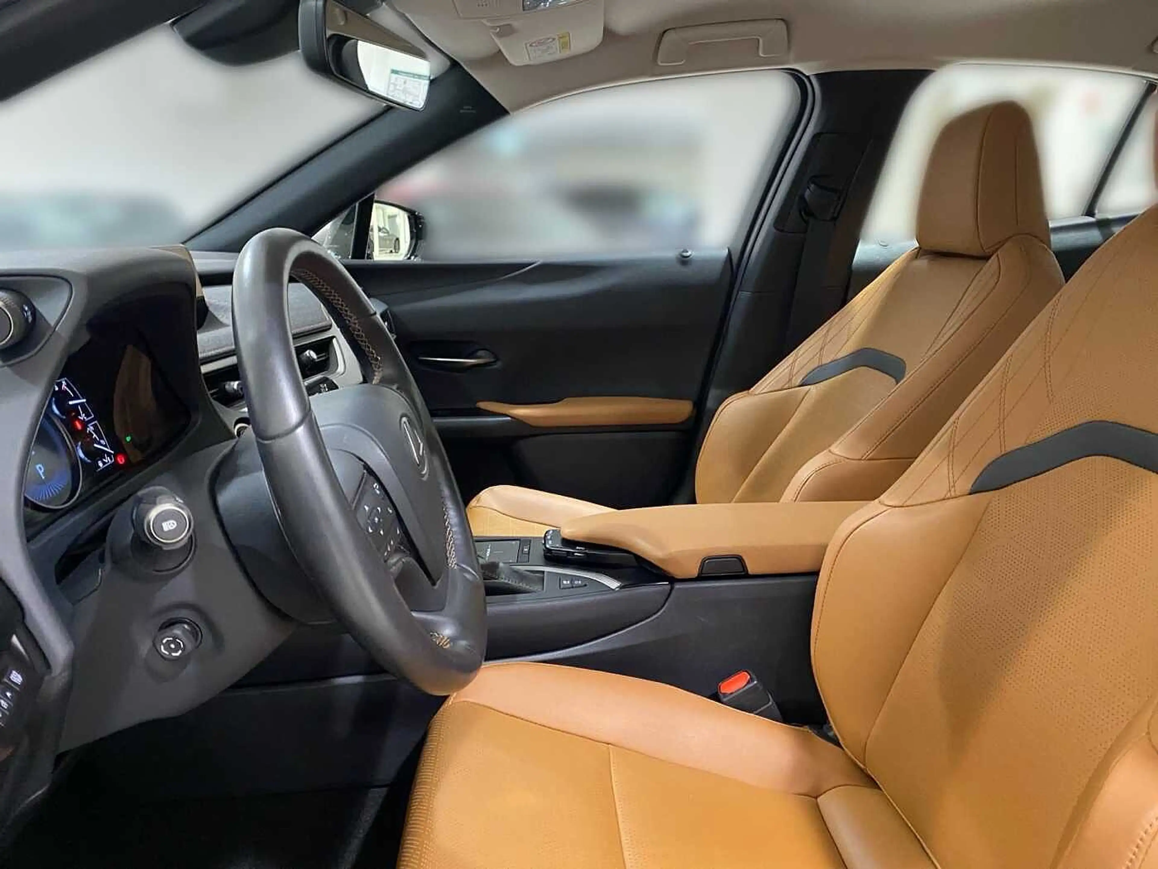Lexus UX 250h Luxury Line 360° KAMERA SHZ — photo 10