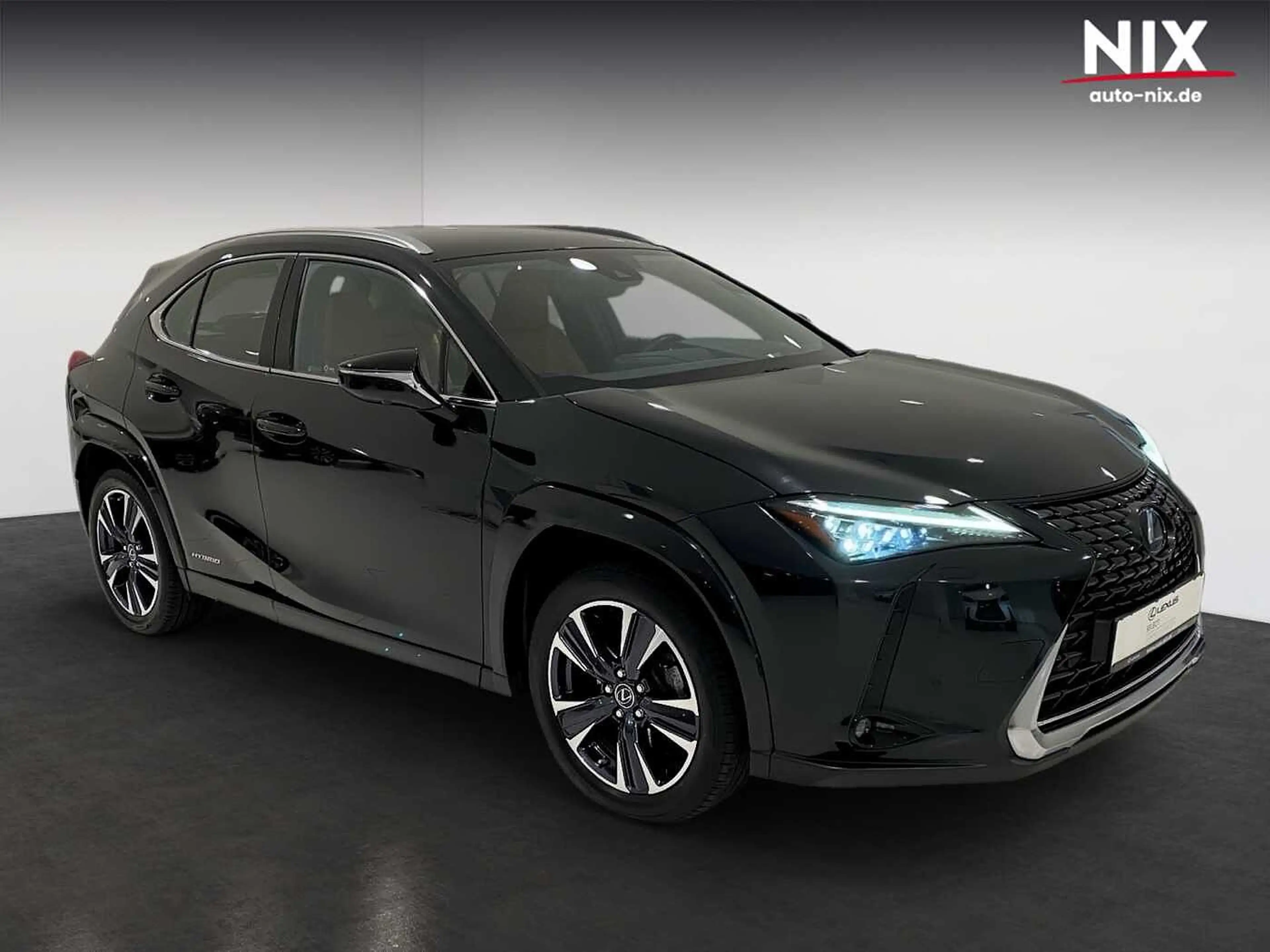 Lexus UX 250h Luxury Line 360° KAMERA SHZ — photo 2