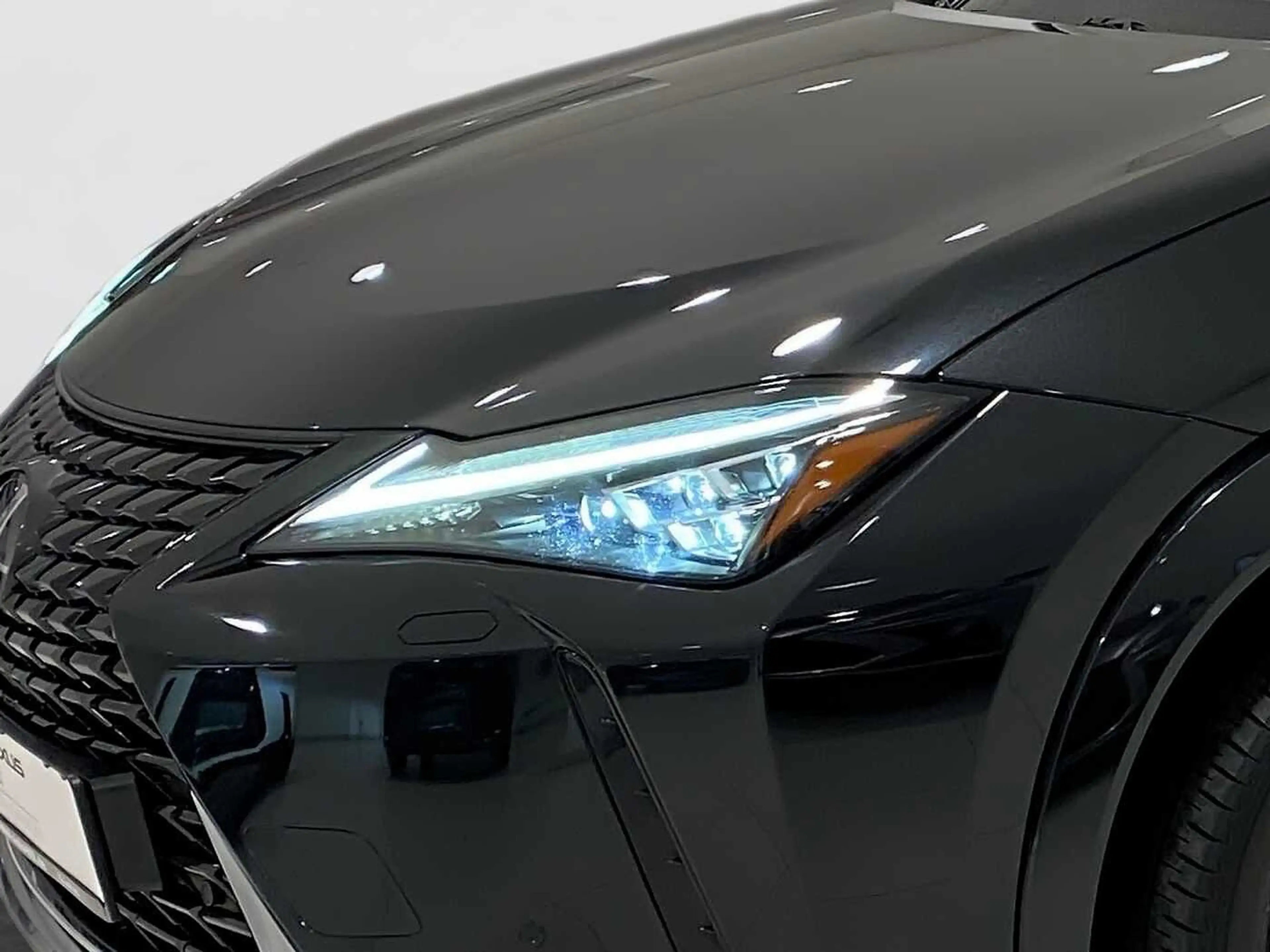 Lexus UX 250h Luxury Line 360° KAMERA SHZ — photo 7