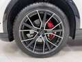 Audi Q8 50 3.0 TDI MHEV S-LINE QUATTRO TIPTRONIC Alb - thumbnail 33