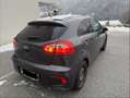 Kia Rio 1,2 MPI Titan PICKERL **NEU** BIS 04/2027 Grau - thumbnail 5